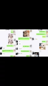人妻出轨漂亮的脸蛋，白皙的皮肤和美乳！各种姿势无套中出