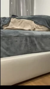 同学，快射进老师的逼里