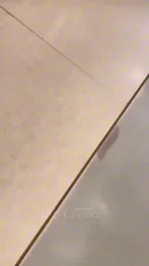 逛着商场骚货学姐想要了