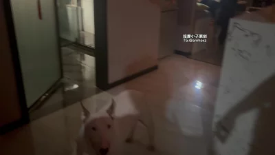 上门按摩近距离特写