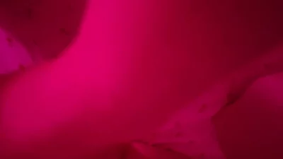 沈阳好粗好硬叫声可射学妹