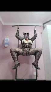 丹夫人百变母狗