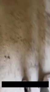 去c奶人妻特意为我俩租的爱巢