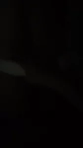 邯郸少妇，叫声可射，太骚了