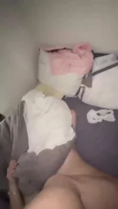 母狗前女友无套爆草