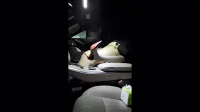 车震灰丝高跟少妇