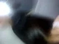 去何地电影